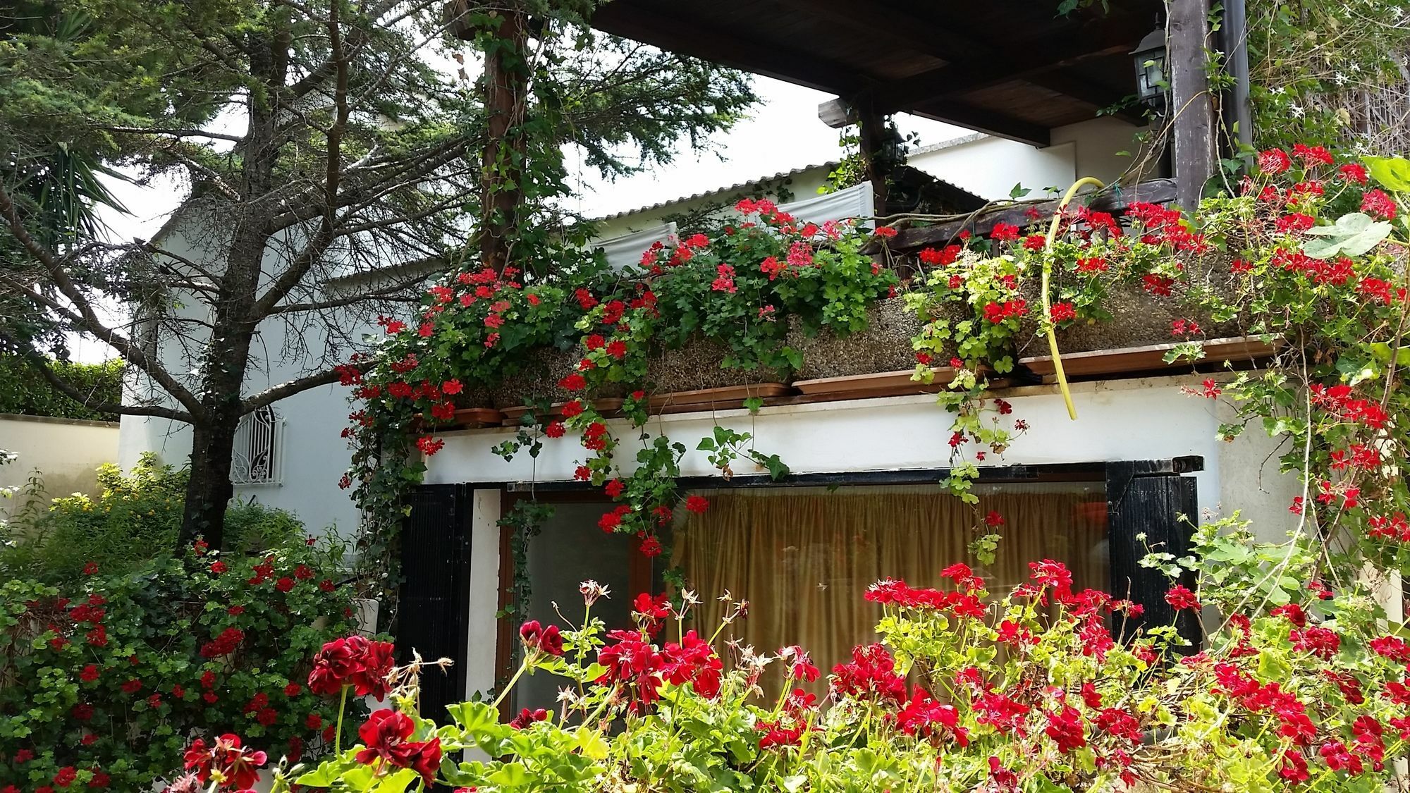 Lecce Guesthouse Εξωτερικό φωτογραφία